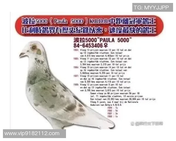 足球明星余伟亮的传奇之路与辉煌成就解析